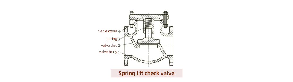 Spring lift check valve