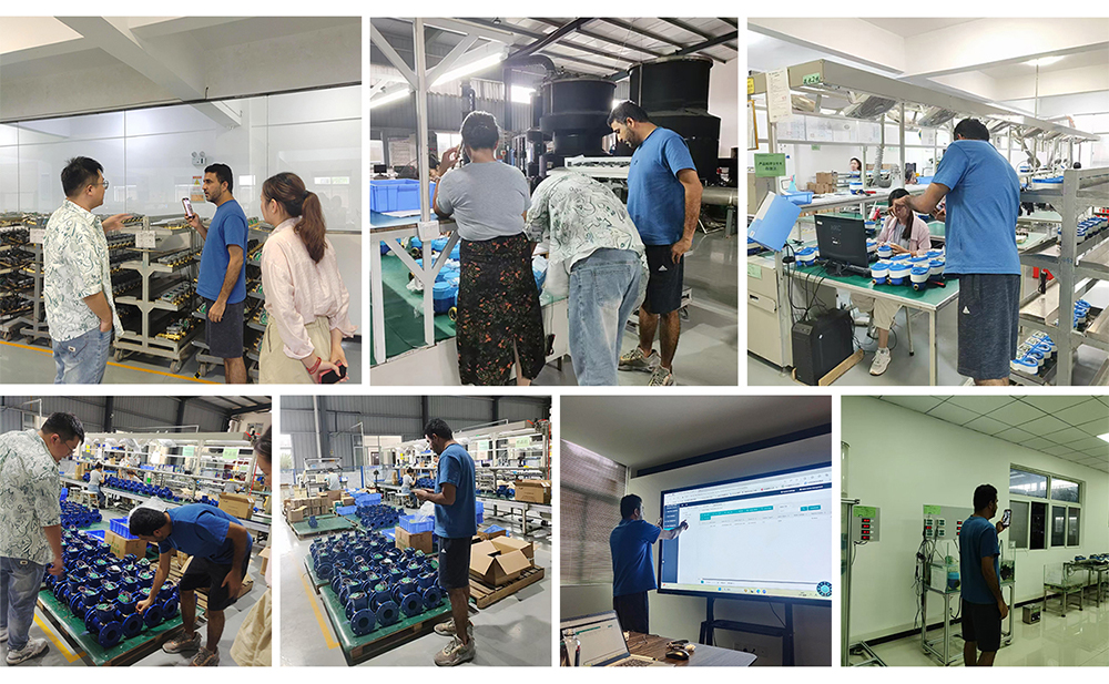 A Fruitful Visit: Pakistan and Malaysia Customers Tour WESDOM Water Meter Factory