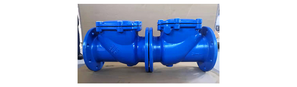 rubber disc check valve