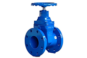 gate valve