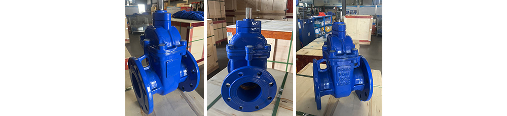 hard-seated gate valve